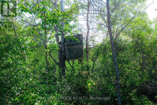 00 Yule Road, Merrickville Wolford, ON K0G1G0 Photo 5
