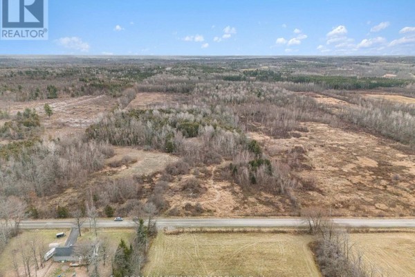 000 4th Concession Road, Augusta, ON K0E1T0 Photo 5