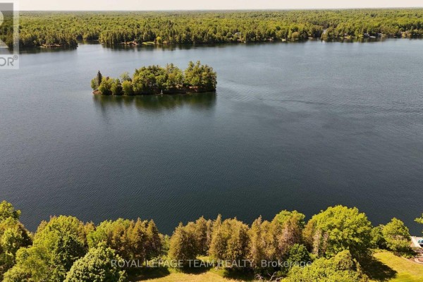 000 Dragonfly Lane, Rideau Lakes, ON K0G1L0 Photo 4