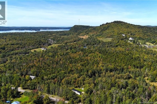 Wide view of forested land with varying tree heights, dirt road visible on the right side. - 000 Harkness Road, Saint Andrews