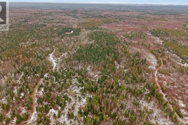 000 Lynnfield Road, Oak Hill, NB, photo 2