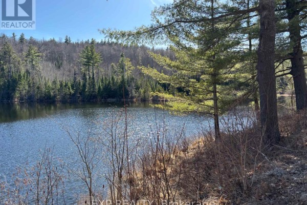000 Opeongo Road, Madawaska Valley, ON K0J2N0 Photo 2