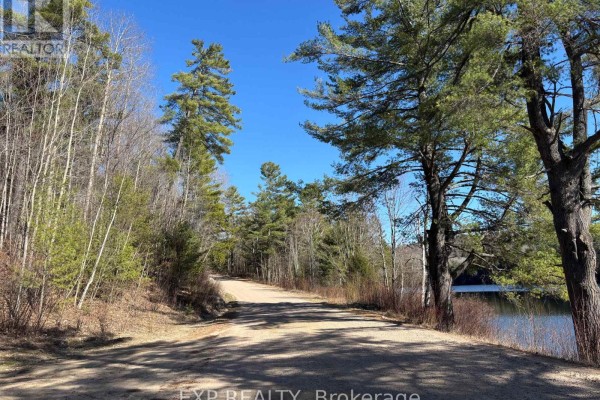 000 Opeongo Road, Madawaska Valley, ON K0J2N0 Photo 3