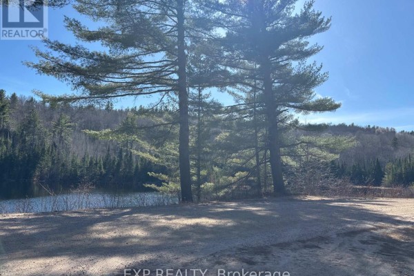 000 Opeongo Road, Madawaska Valley, ON K0J2N0 Photo 4