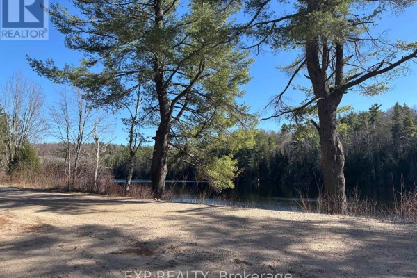 000 Opeongo Road, Madawaska Valley, ON K0J2N0 Photo 5
