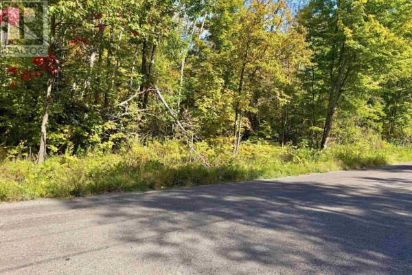 A paved road curves towards a dense green forest with scattered red and yellow autumn leaves. - 000 Pumpkin Point Rd E, Laird