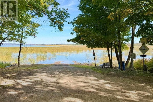 Waterfront view showing a grassy boat launch area leading to a calm lake with tall reeds. - 000 Pumpkin Point Rd E, Laird