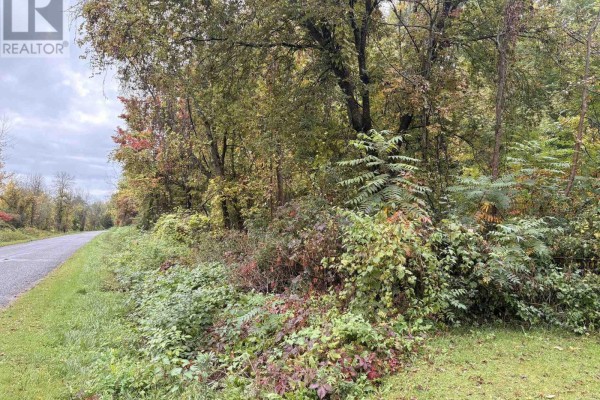Cleared grassy area with a fallen tree branch, surrounded by dense trees. - 000 Railroad Street, Rideau Lakes