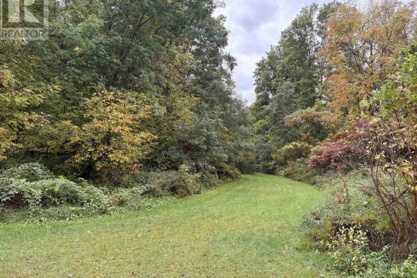 Green grassy lane curving through a wooded area with trees showing autumn colors. - 000 Railroad Street, Rideau Lakes