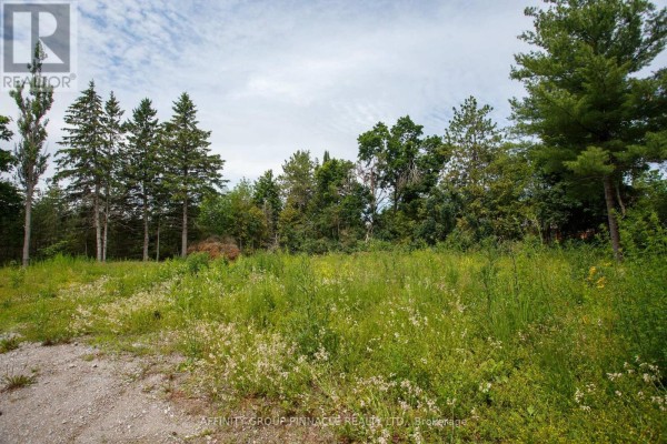 000 Reid Street, Kawartha Lakes, ON K0M1A0 Photo 2