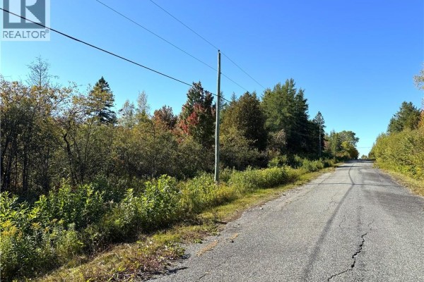 Wooded lot with snow and clear sky, showcasing tree line along the road - 000 Route 3, Lawrence Station