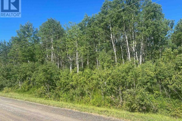 0000 Penna Shaft Road, Timiskaming, ON P0J1P0 Photo 2