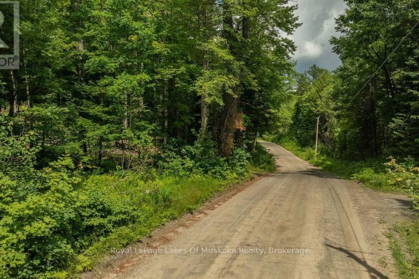 0000 Ril Lake Road S, Lake Of Bays, ON, photo 2
