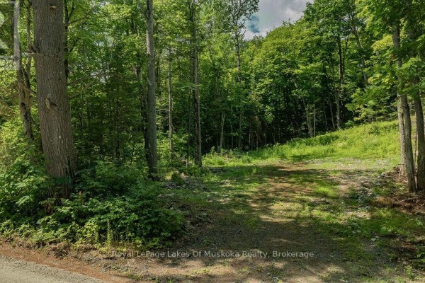 0000 Ril Lake Road S, Lake Of Bays, ON, photo 3