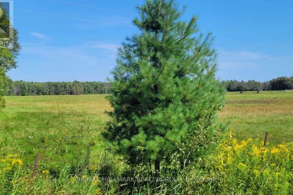 0000 Skakum Road, Augusta, ON, photo 2