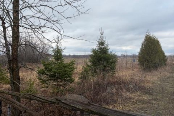 00000 North Lunenburg Road, South Stormont, ON, photo 3
