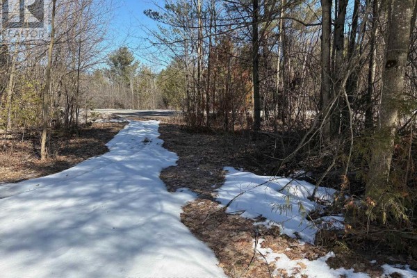 001 Temperance Lake Road, Athens, ON K0E1B0 Photo 4