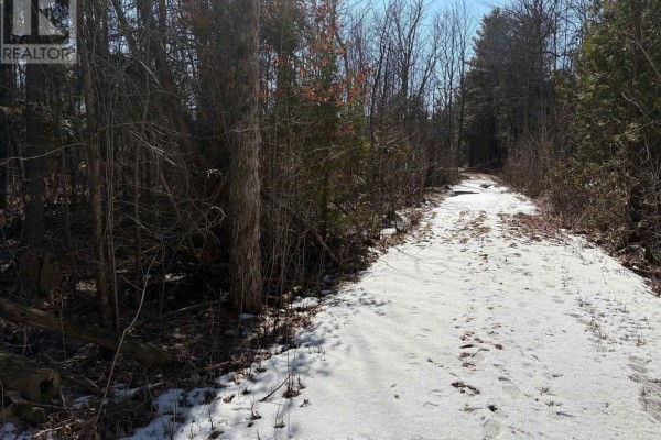 001 Temperance Lake Road, Athens, ON K0E1B0 Photo 5
