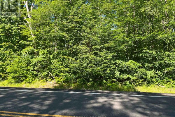 01 Siberia Road, Madawaska Valley, ON, photo 2