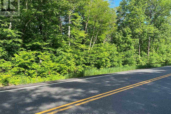 01 Siberia Road, Madawaska Valley, ON, photo 3