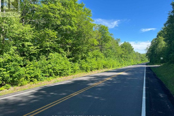 01 Siberia Road, Madawaska Valley, ON K0J1B0 Photo 5