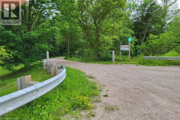 015193 Grey Bruce Townline, Scone, ON N0G1L0 Photo 4