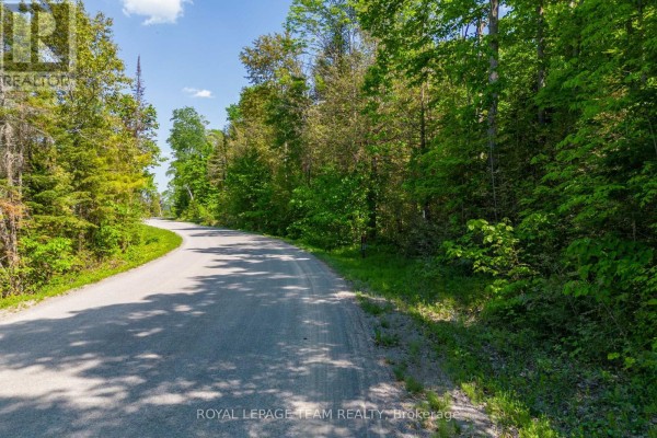 02 Mink Lake Road, North Algona Wilberforce, ON K0J1T0 Photo 4