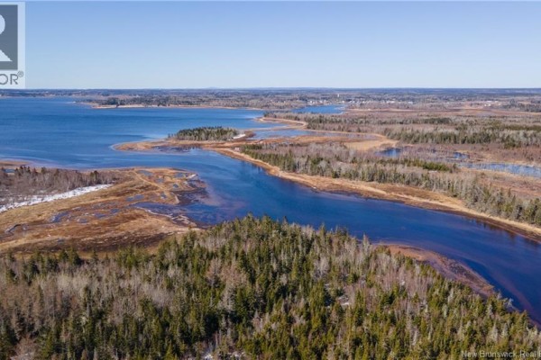 09-1 John A Trenholm Road, Upper Cape, NB E4M2W3 Photo 3