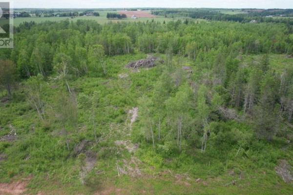 09-16 Bakers Shore Road, Grand River, PE C0B1Y0 Photo 5