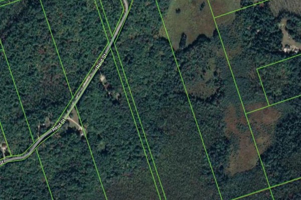 0a Reid Street, Trent Lakes, ON K0M2A0 Photo 2
