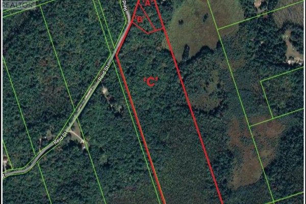 0a Reid Street, Trent Lakes, ON K0M2A0 Photo 3