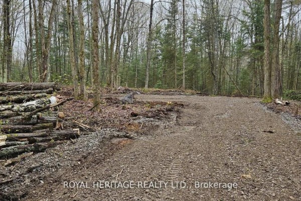 0a Reid Street, Trent Lakes, ON K0M2A0 Photo 4