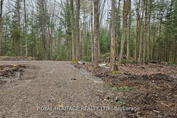 0a Reid Street, Trent Lakes, ON K0M2A0 Photo 5