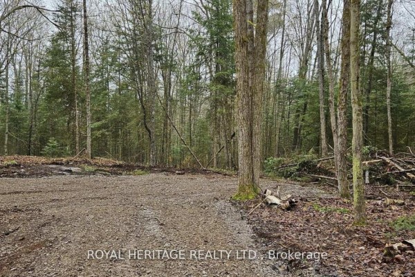 0b Reid Street, Trent Lakes, ON K0M2A0 Photo 3