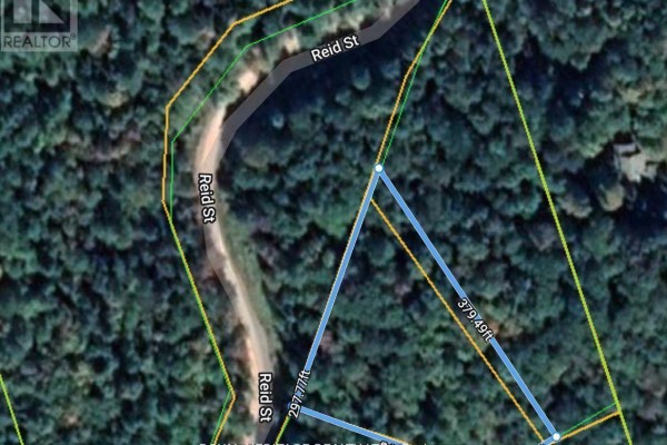 0b Reid Street, Trent Lakes, ON K0M2A0 Photo 5