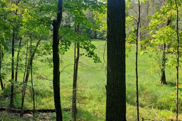 0east2 Road Allowance Road, Havelock Belmont Methuen, ON, photo 2