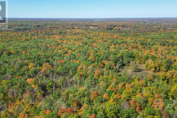 0west Road Allowance Road, Havelock Belmont Methuen, ON, photo 2