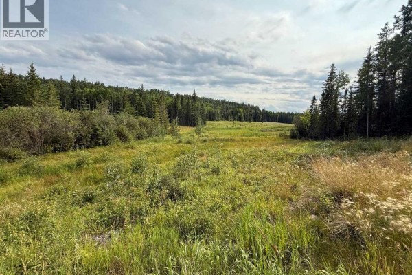 1, 23518 Hwy 16 (carldale), Rural Yellowhead County, AB, photo 2