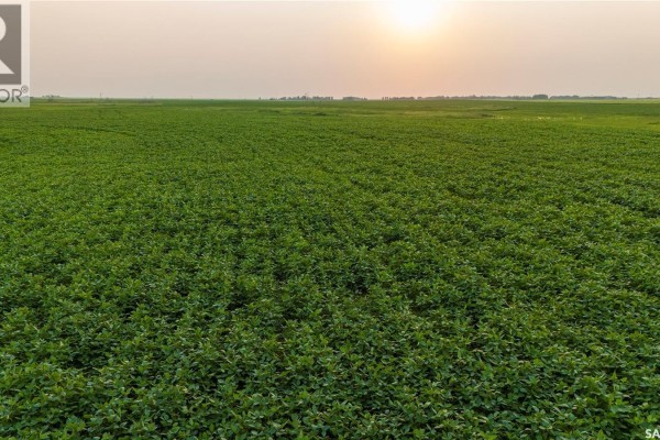 1,033 Acres - Frobisher - Rm's 3 & 4, Coalfields Rm No  4, SK S0C0B2 Photo 4