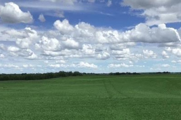 1,085 Acres, Two Hills, AB T0B4K0 Photo 5
