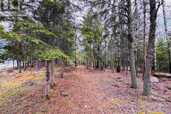 1,2,4,5 Bennett Drive /mcmanus Street, Red Lake, ON P0V1C0 Photo 4