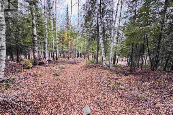 1,2,4,5 Bennett Drive /mcmanus Street, Red Lake, ON P0V1C0 Photo 5