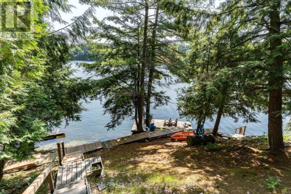 Loft - 1 - 1060 Skeleton Lake 3 Road, Muskoka Lakes, ON P0B1M0 Photo 3