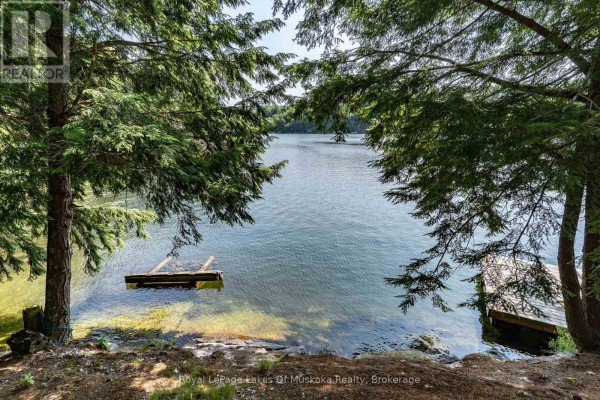 Living room - 1 - 1060 Skeleton Lake 3 Road, Muskoka Lakes, ON P0B1M0 Photo 5