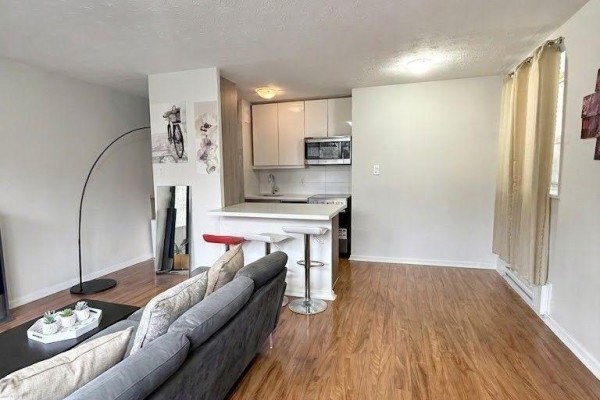 Kitchen - 1 - 140 Springhurst Avenue, Toronto, ON M6K1C1 Photo 3