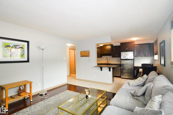 Laundry room - #1 10710 84 Av Nw, Edmonton, AB T6E2H9 Photo 5