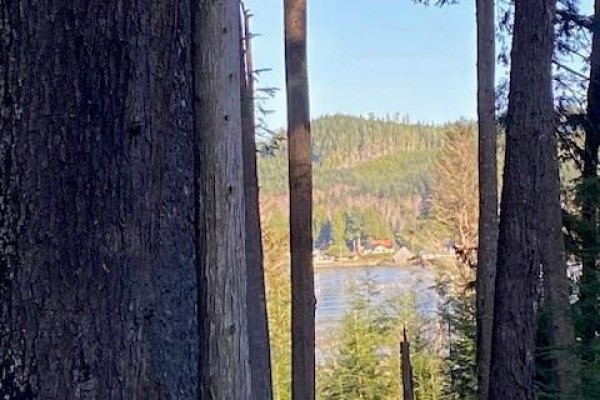 1 1st St, Sointula, BC, photo 2