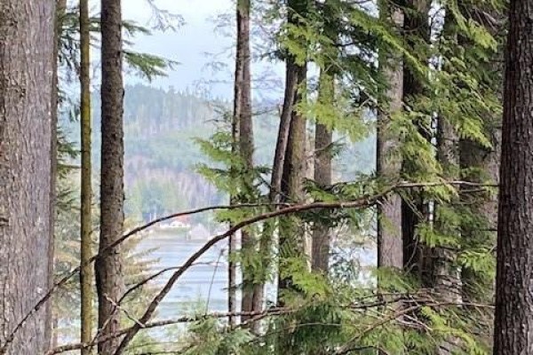 1 1st St, Sointula, BC, photo 3