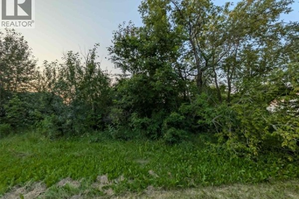 1 1st Street W, Meath Park, SK S0J1T0 Photo 2