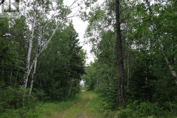 1-3 Lot 1.75 Acre, Hudson Bay Rm No  394, SK, photo 3